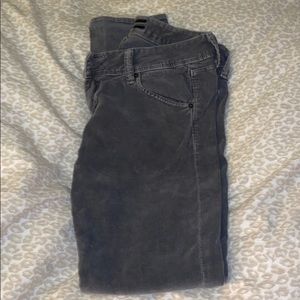 Hudson Grey Skinny Cords! Size 28